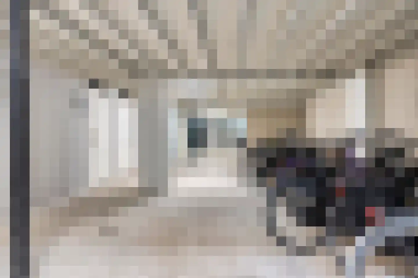 Zwijsenhof 80 Veghel thumbnail 22