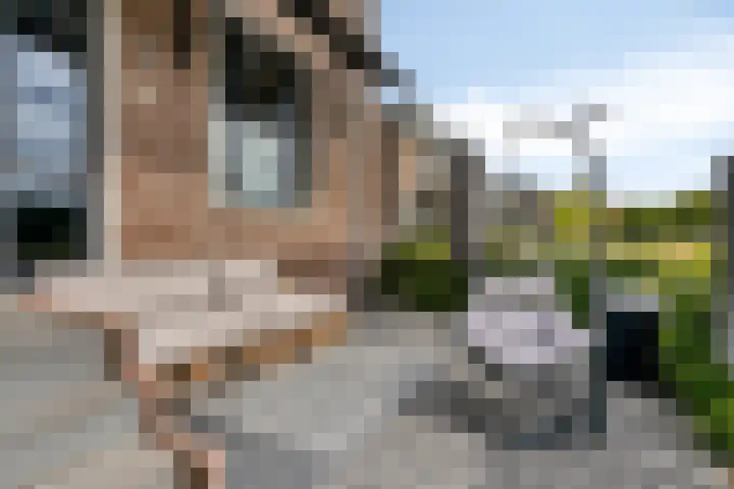 Zwijsenhof 80 Veghel thumbnail 24