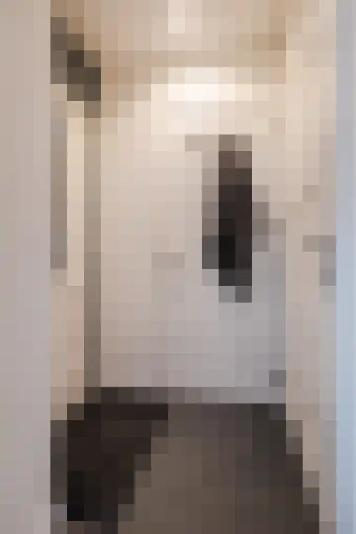 Zwijsenhof 81 Veghel thumbnail 9