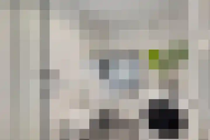 Zwijsenhof 83 Veghel thumbnail 21