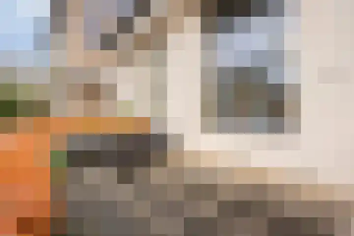 Zwijsenhof 83 Veghel thumbnail 27