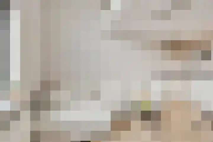 Zwijsenhof 83 Veghel thumbnail 8