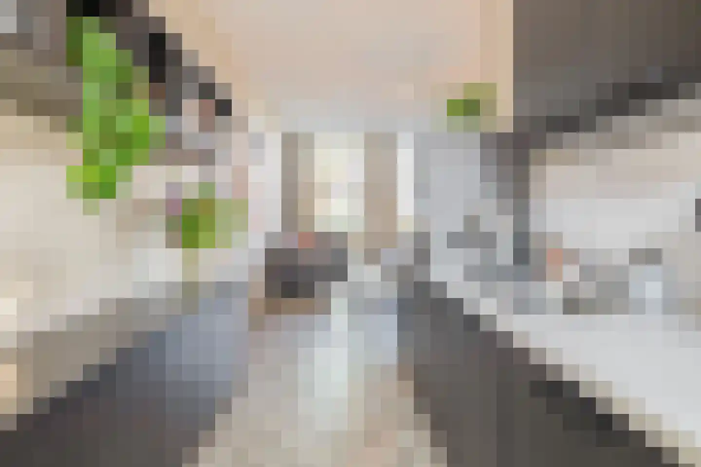 Zwijsenhof 9 Veghel thumbnail 10