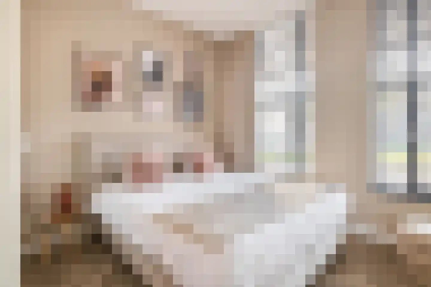 Zwijsenhof 9 Veghel thumbnail 12