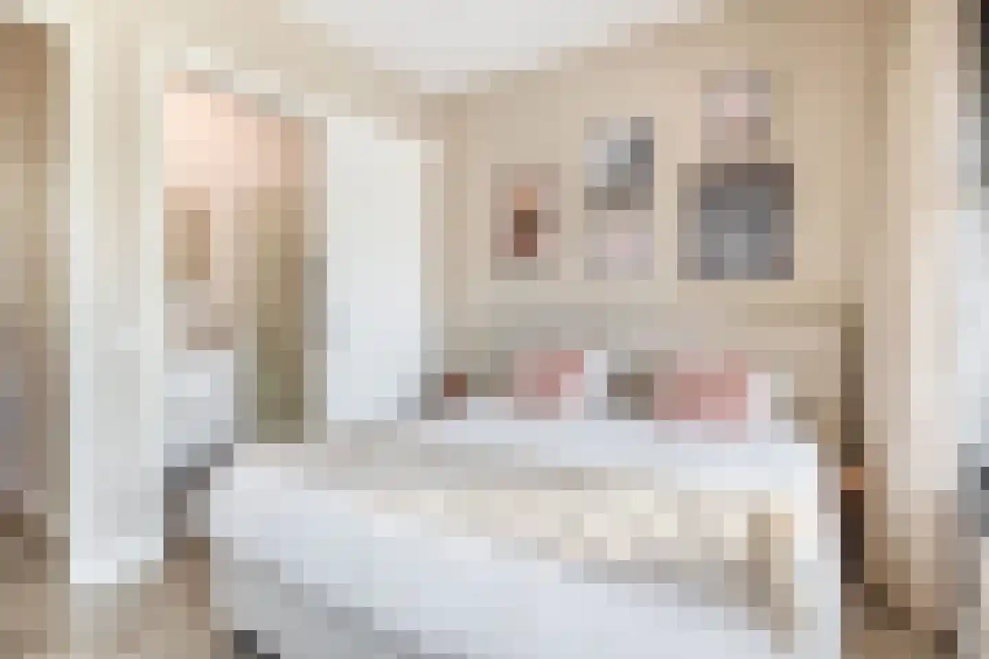 Zwijsenhof 9 Veghel thumbnail 13
