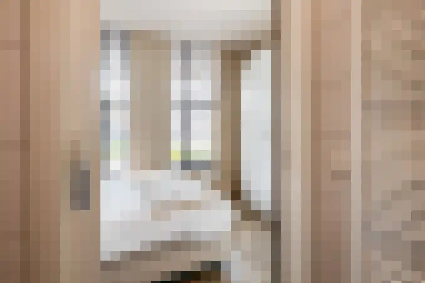 Zwijsenhof 9 Veghel thumbnail 17