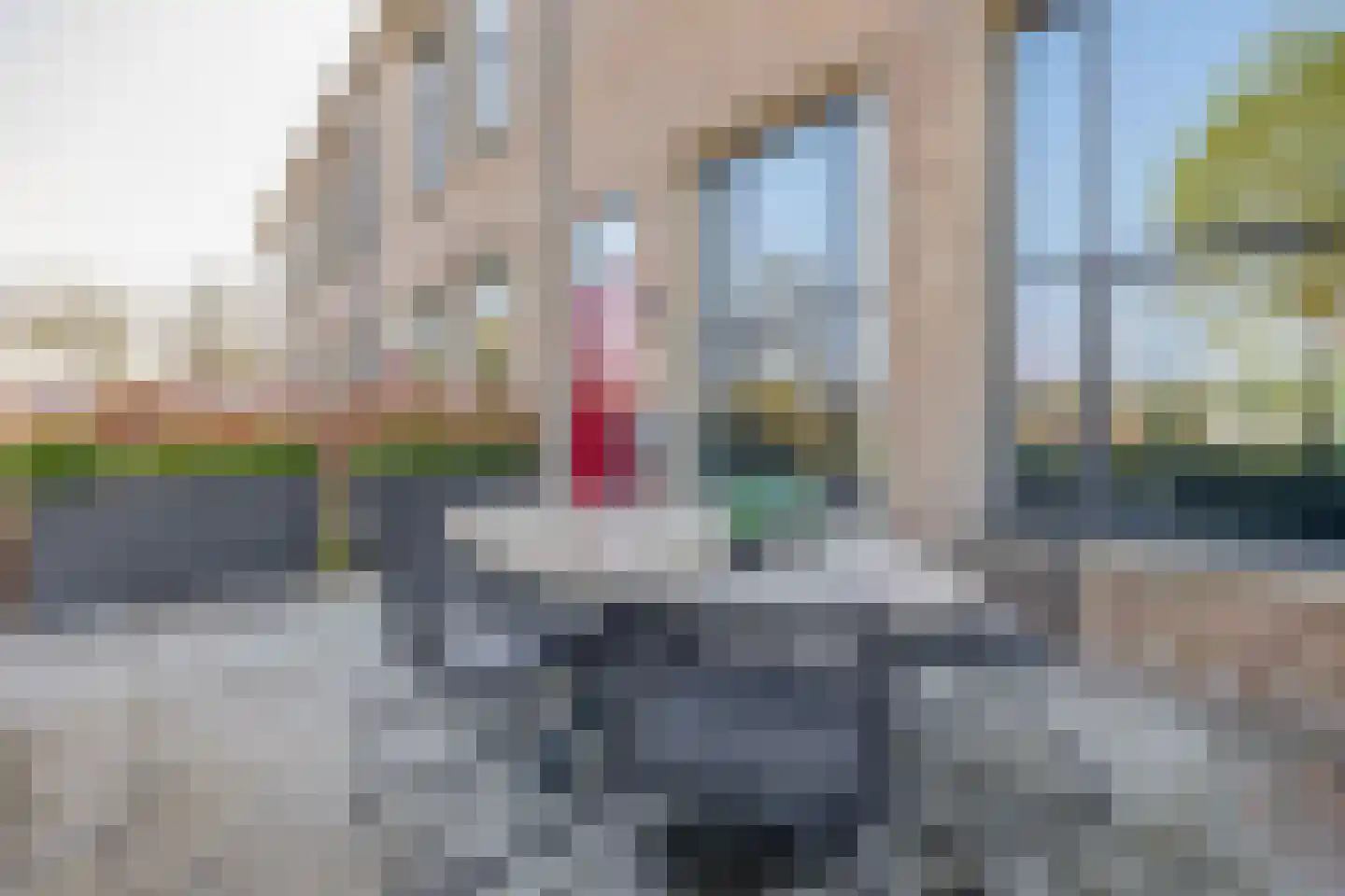 Zwijsenhof 9 Veghel thumbnail 22
