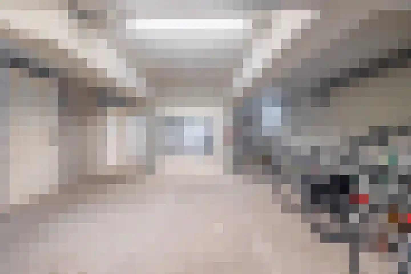 Zwijsenhof 9 Veghel thumbnail 27