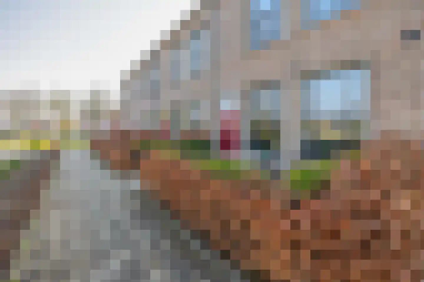 Zwijsenhof 9 Veghel thumbnail 35