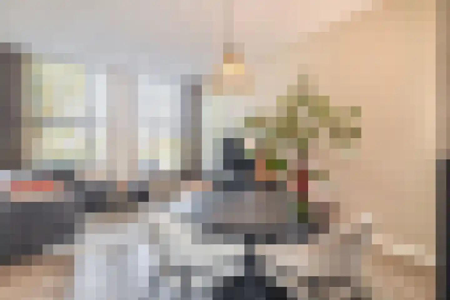 Zwijsenhof 9 Veghel thumbnail 7