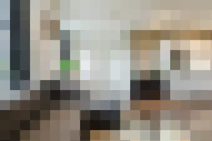 Zwijsenhof 91 Veghel thumbnail 16