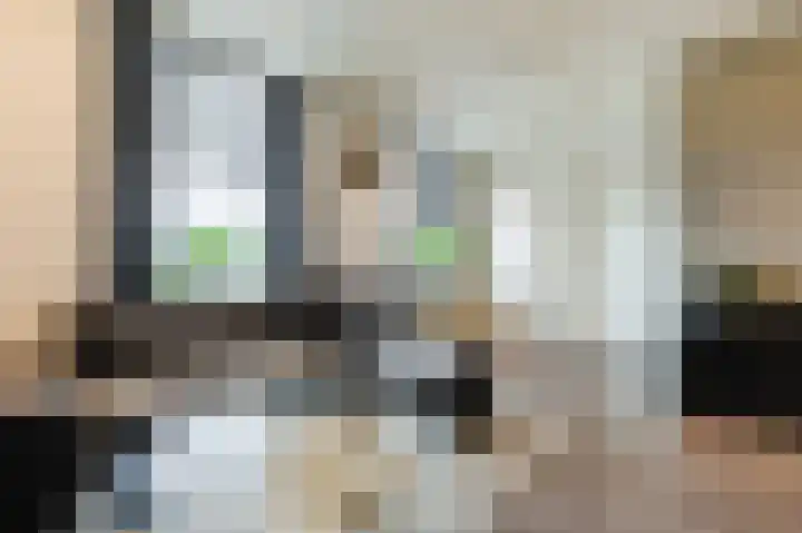Zwijsenhof 91 Veghel thumbnail 17
