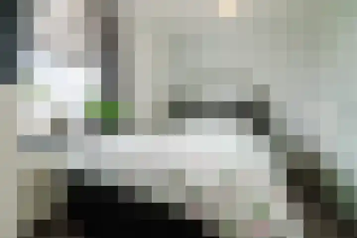 Zwijsenhof 91 Veghel thumbnail 18