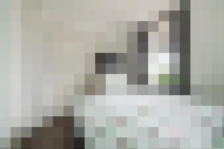 Zwijsenhof 91 Veghel thumbnail 19