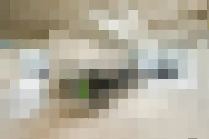 Zwijsenhof 91 Veghel thumbnail 25