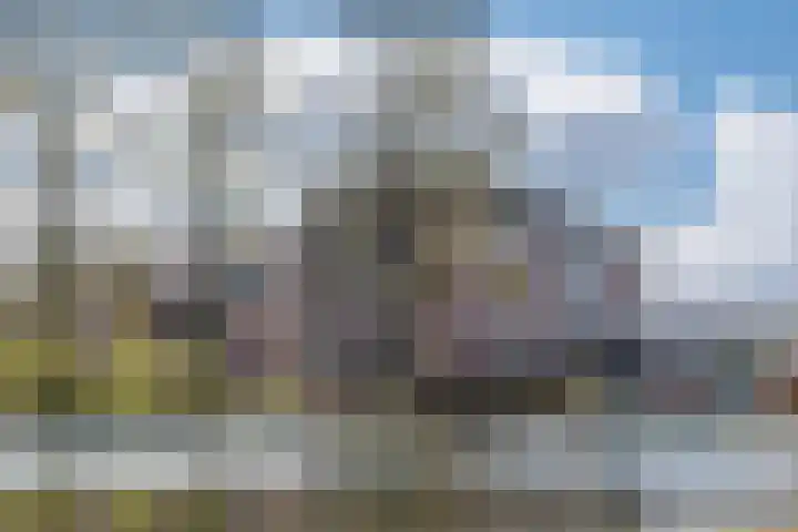 Zwijsenhof 91 Veghel thumbnail 33