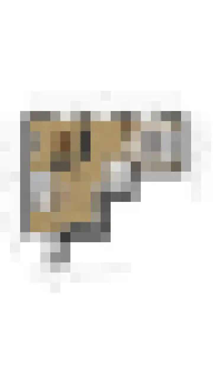 Zwijsenhof 91 Veghel thumbnail 35