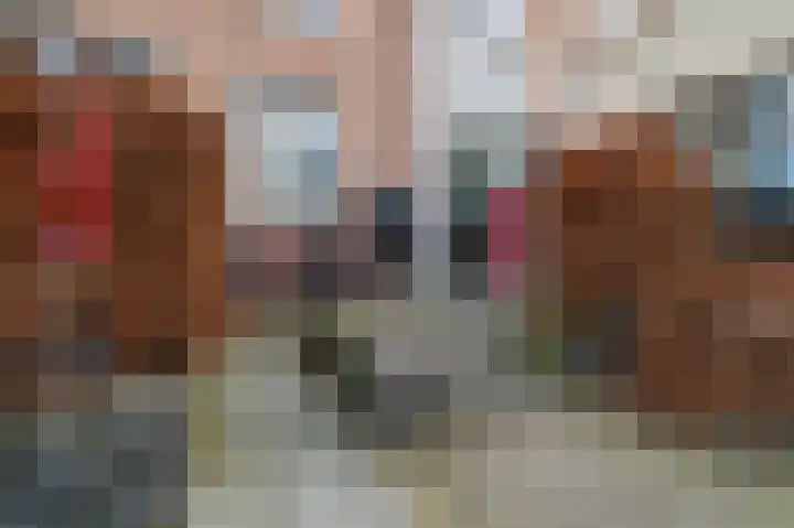 Zwijsenhof 91 Veghel thumbnail 7