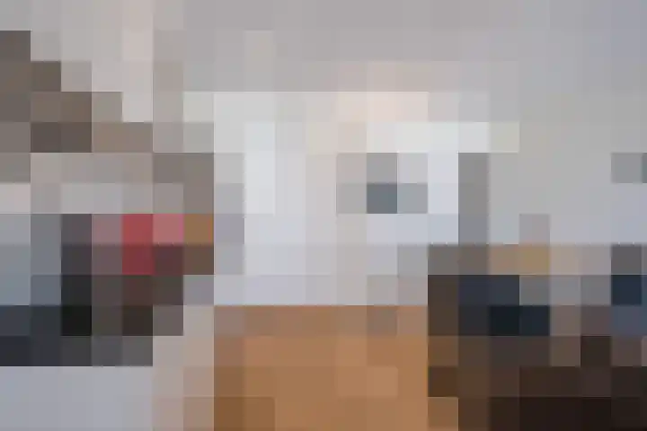 Zwijsenhof 94 Veghel thumbnail 10