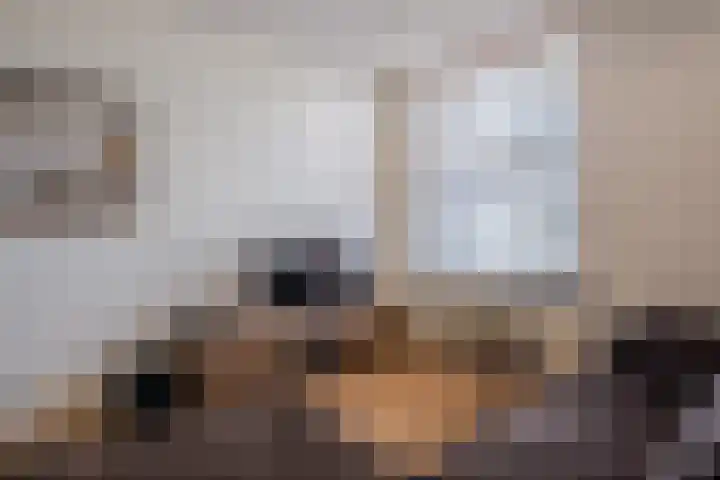 Zwijsenhof 94 Veghel thumbnail 9