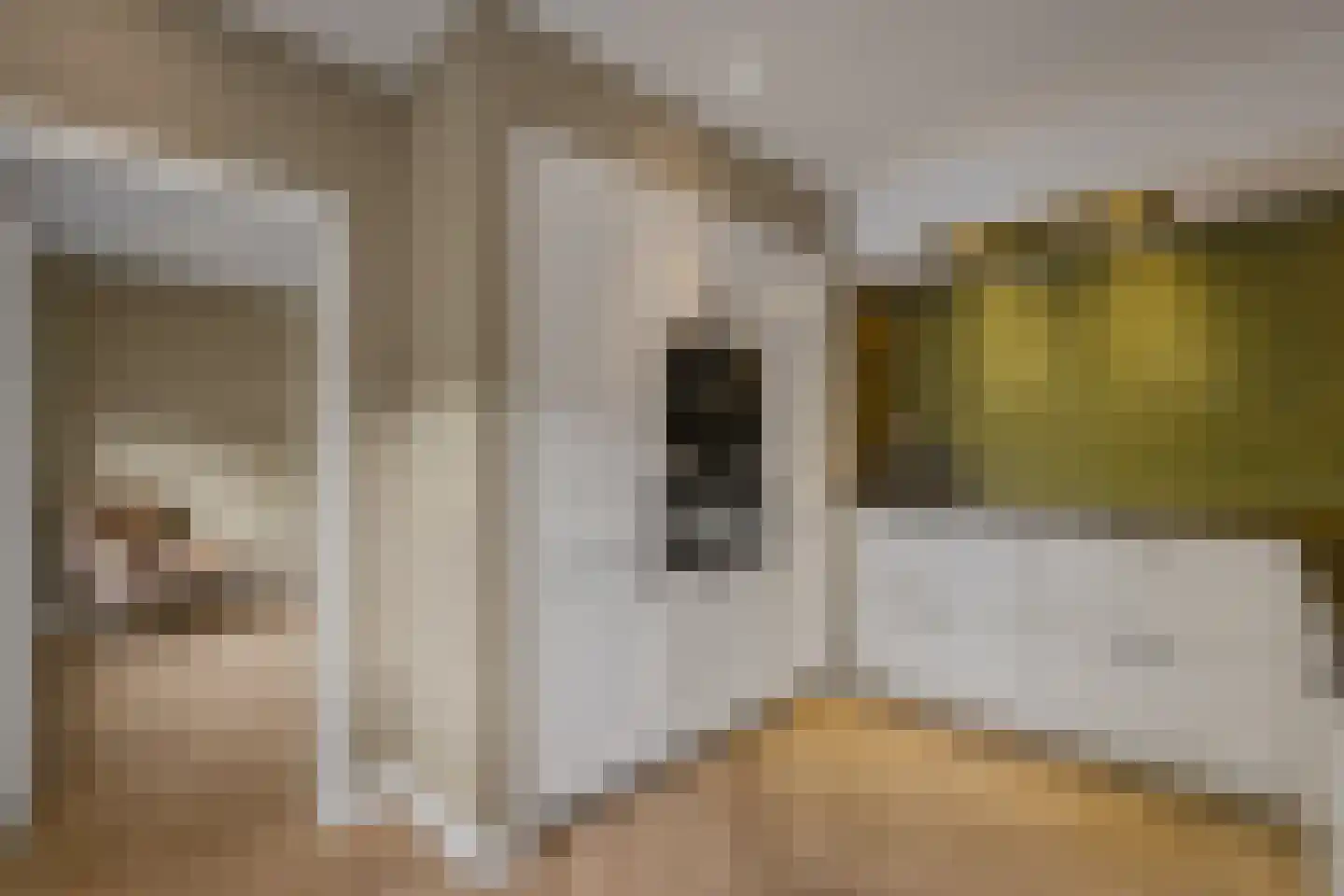 Zwiksweg 14 Enter thumbnail 10
