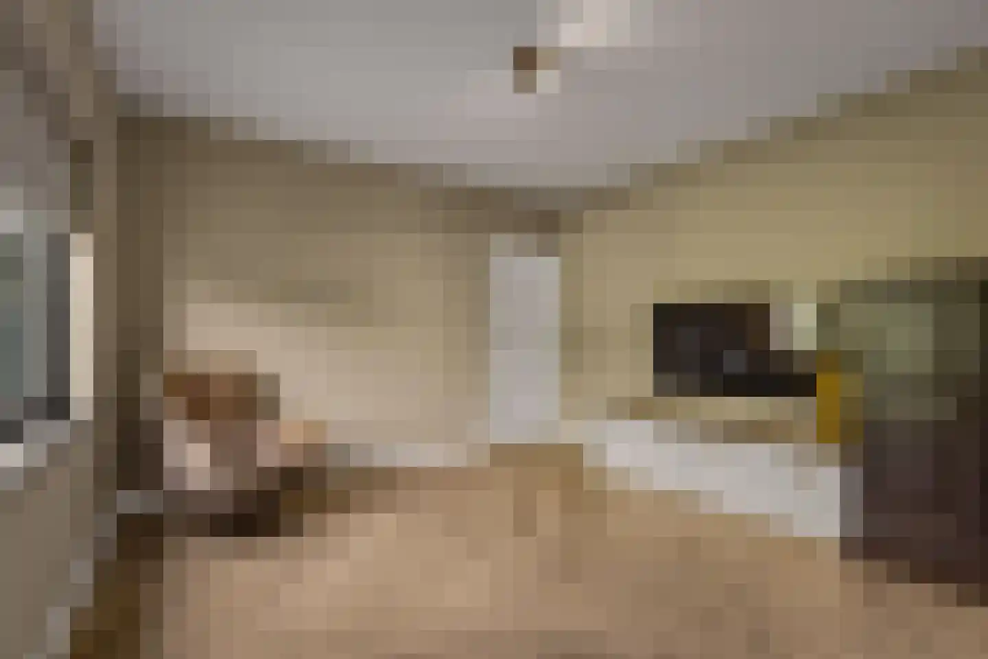Zwiksweg 14 Enter thumbnail 12