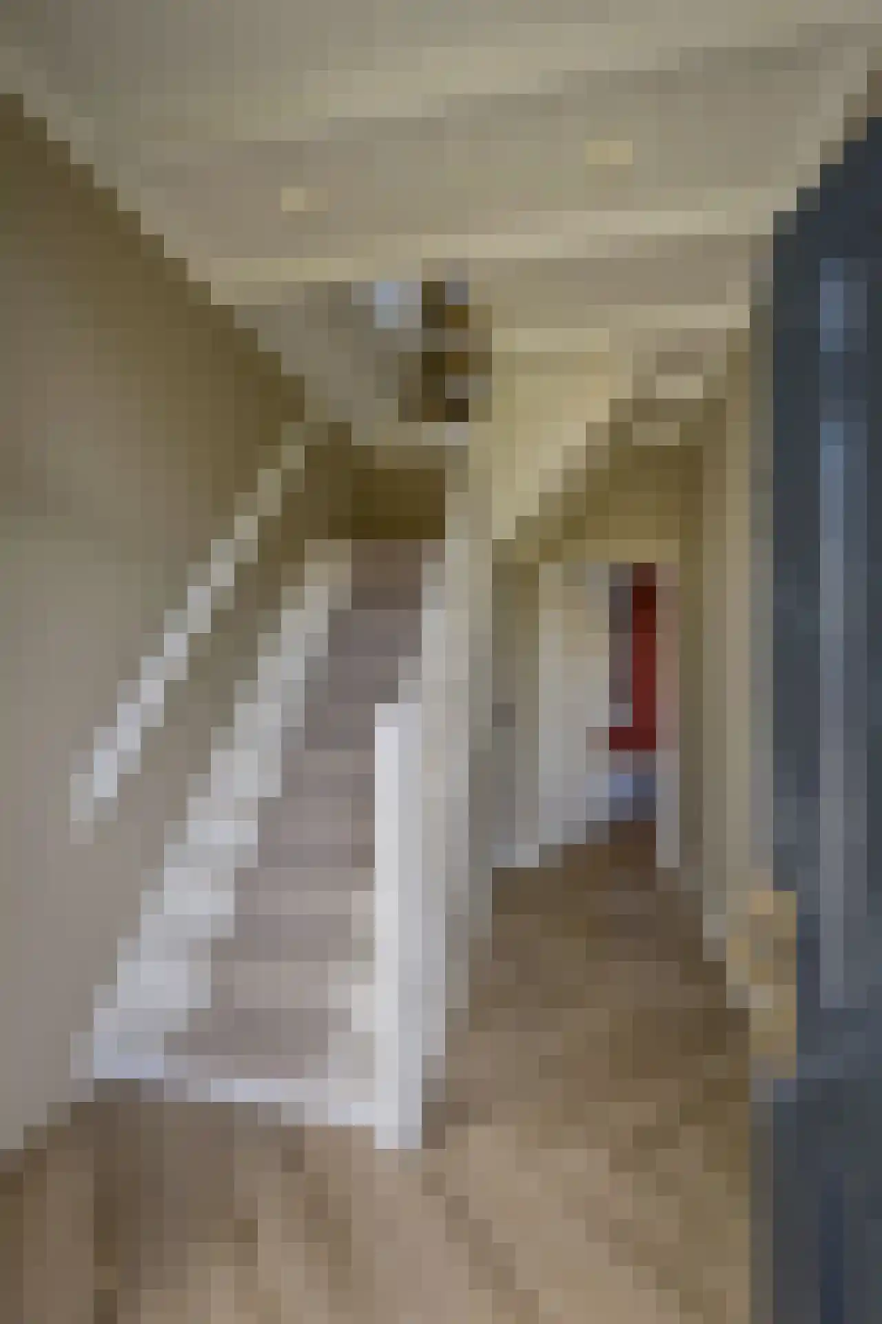 Zwiksweg 14 Enter thumbnail 18