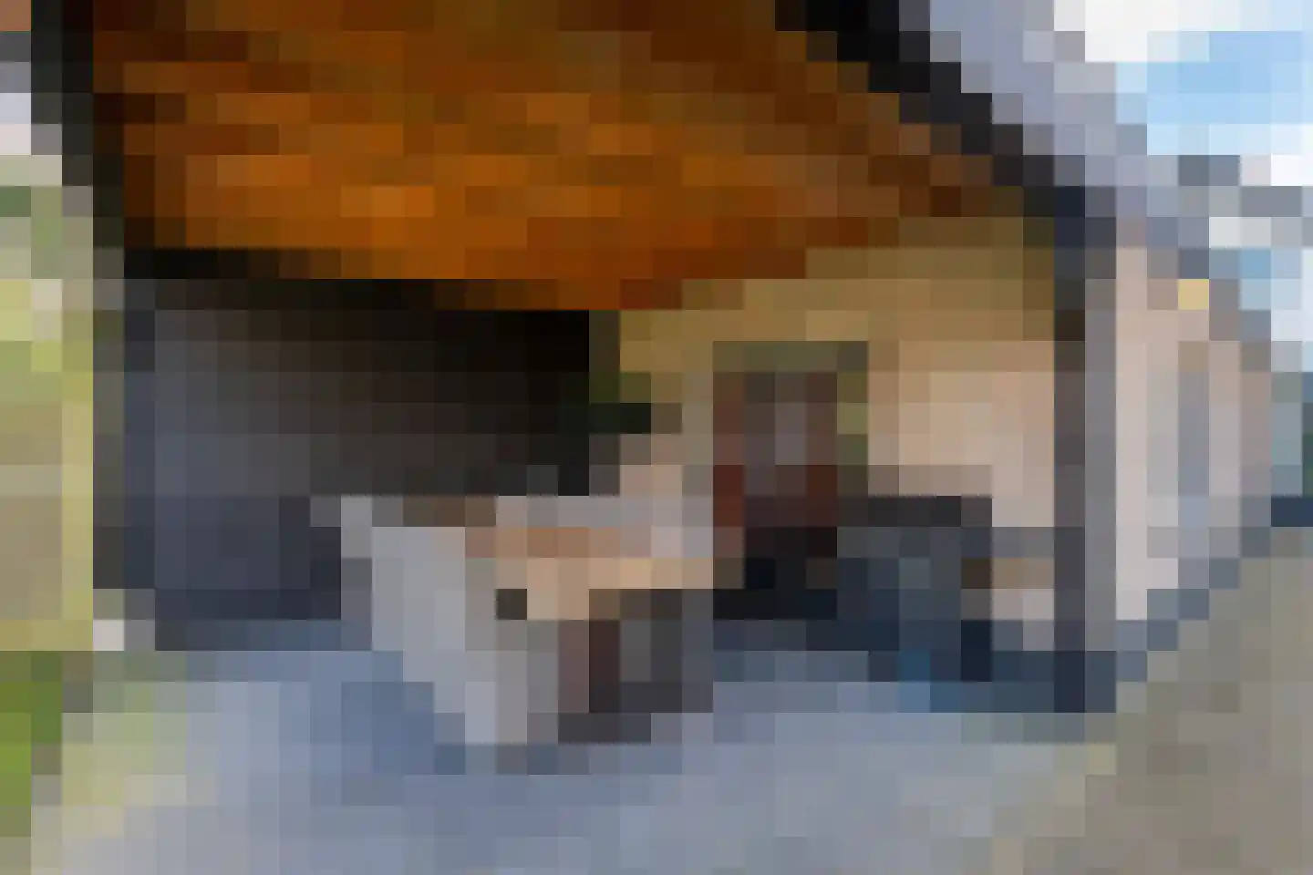 Zwiksweg 14 Enter thumbnail 26