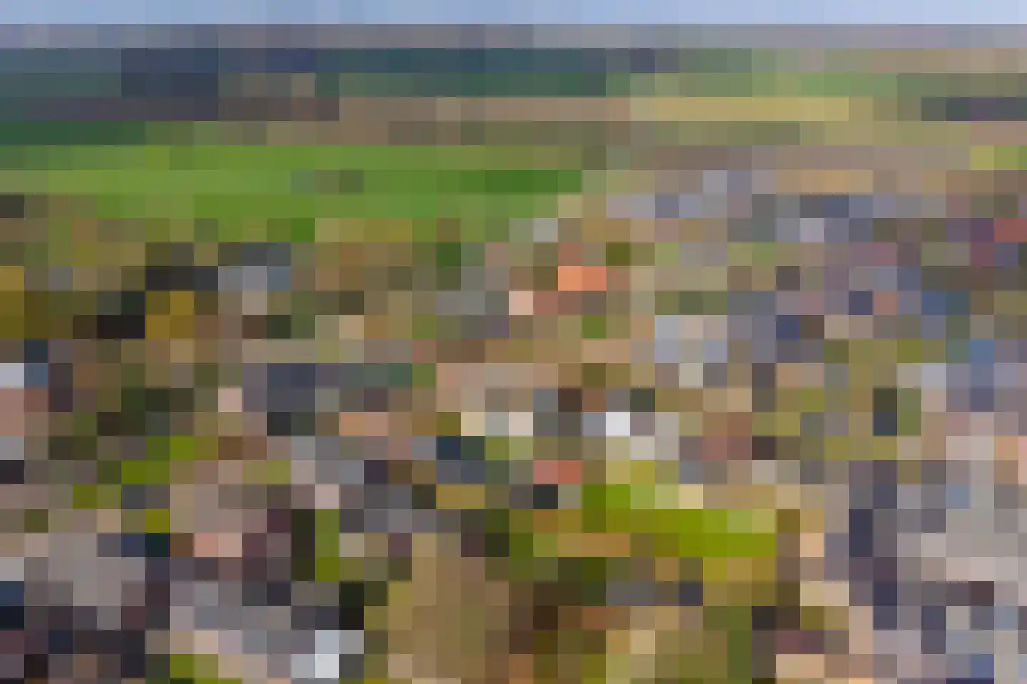 Zwiksweg 14 Enter thumbnail 4