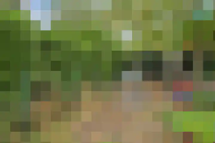 Zwiksweg 7 Enter thumbnail 10