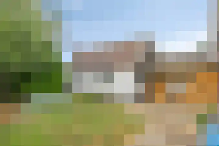 Zwiksweg 7 Enter thumbnail 8