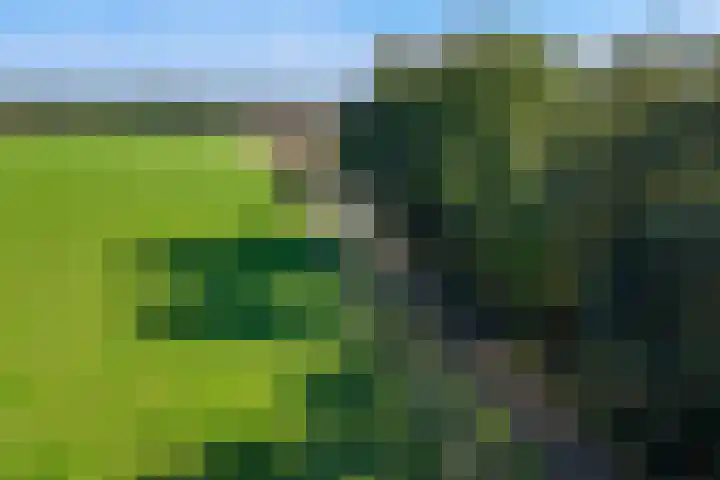 Zwilbroekseweg 15 Eibergen thumbnail 43