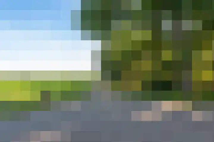 Zwilbroekseweg 15 Eibergen thumbnail 44
