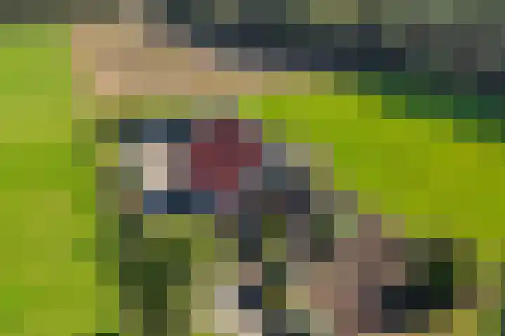 Zwilbroekseweg 15 Eibergen thumbnail 5