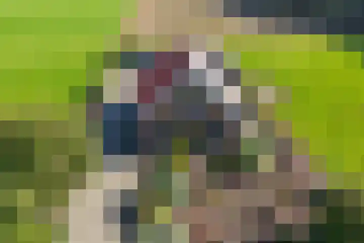 Zwilbroekseweg 15 Eibergen thumbnail 7