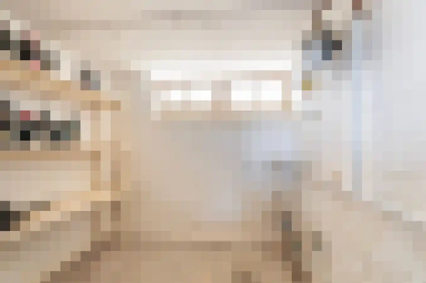Zwilbroekseweg 34 Eibergen thumbnail 23