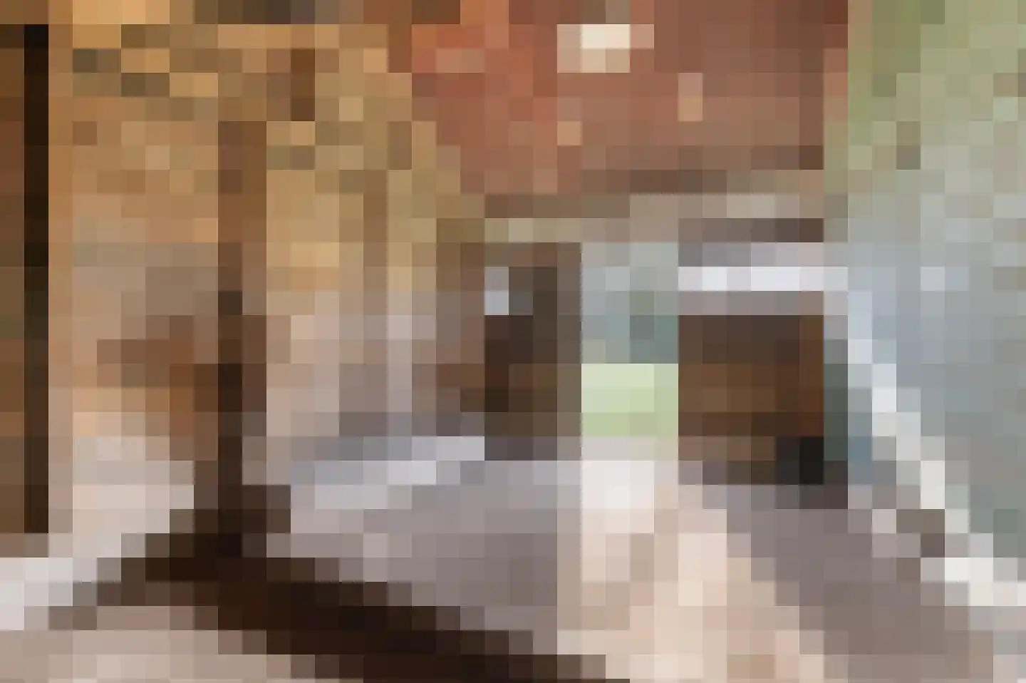 Zwilbroekseweg 34 Eibergen thumbnail 44