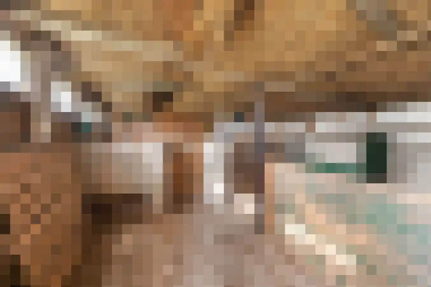 Zwilbroekseweg 34 Eibergen thumbnail 45