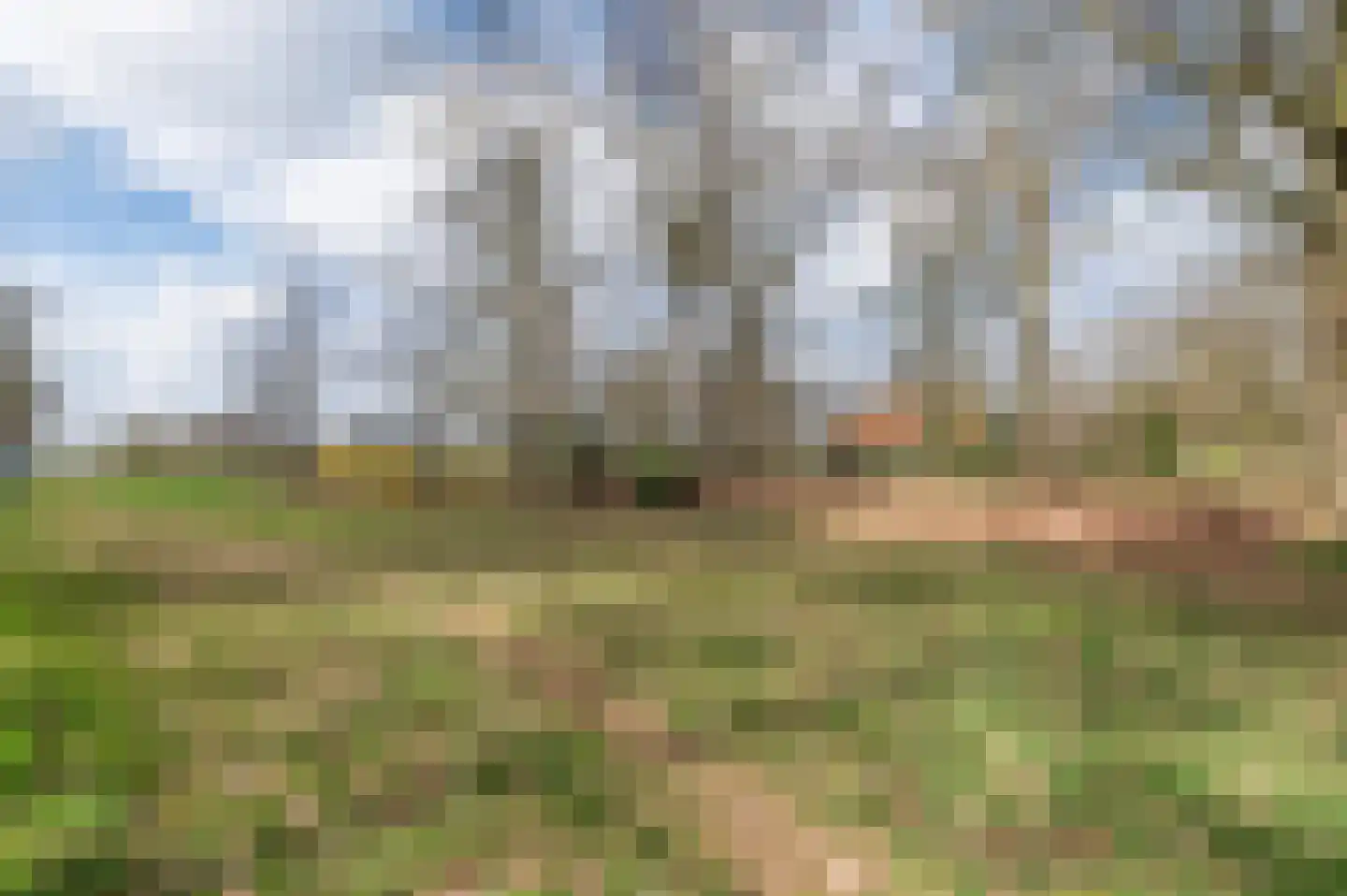 Zwilbroekseweg 34 Eibergen thumbnail 55