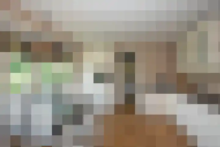 Zwilweg 2 Rijssen thumbnail 14