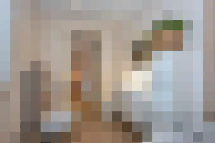 Zwilweg 2 Rijssen thumbnail 19