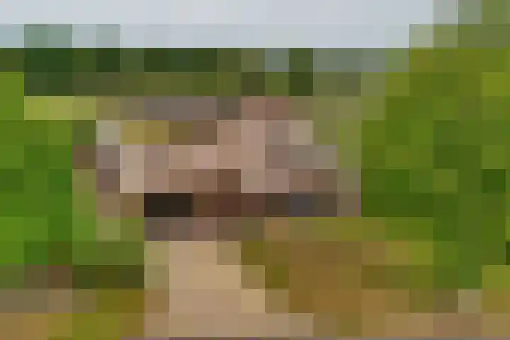 Zwilweg 2 Rijssen foto 2