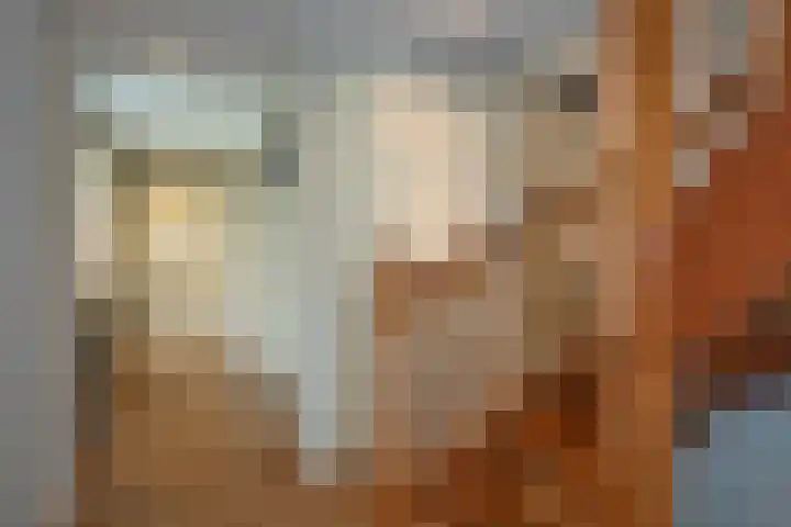Zwilweg 2 Rijssen thumbnail 20