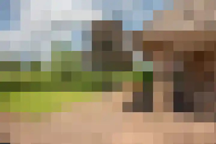 Zwilweg 2 Rijssen thumbnail 33