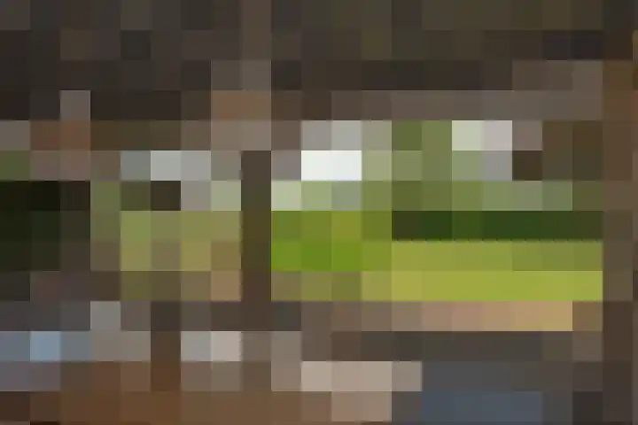 Zwilweg 2 Rijssen thumbnail 37