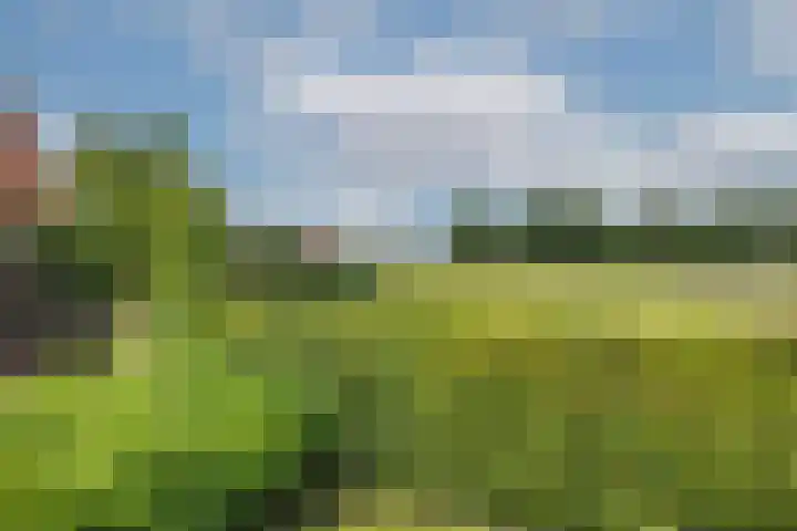 Zwilweg 2 Rijssen thumbnail 42
