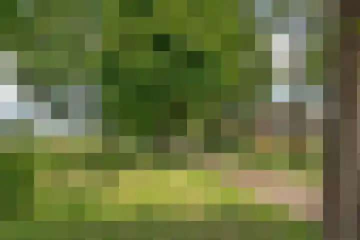 Zwilweg 2 Rijssen thumbnail 46