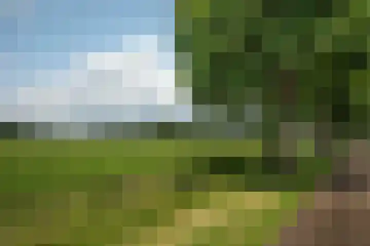 Zwilweg 2 Rijssen thumbnail 47