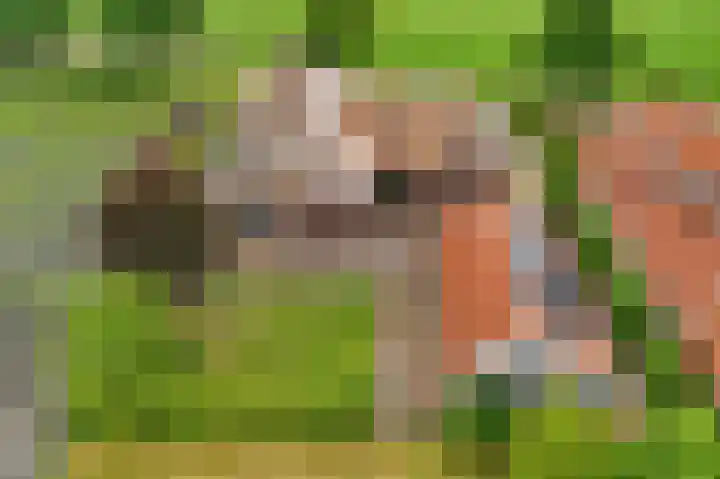 Zwilweg 2 Rijssen thumbnail 49