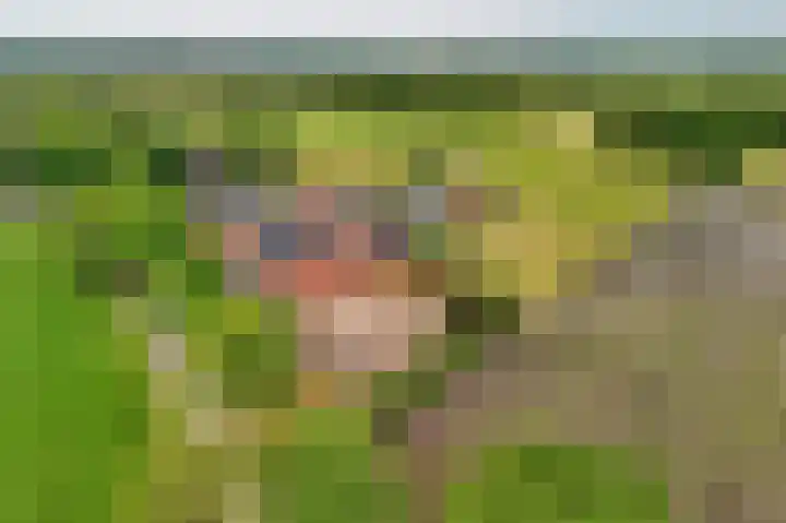 Zwilweg 2 Rijssen thumbnail 50